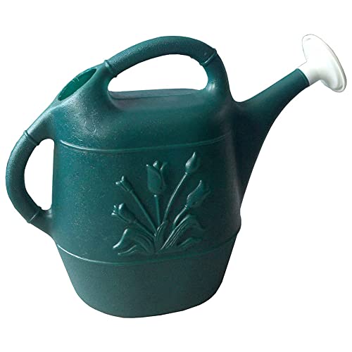 Best watering can in 2022 [Based on 50 expert reviews]