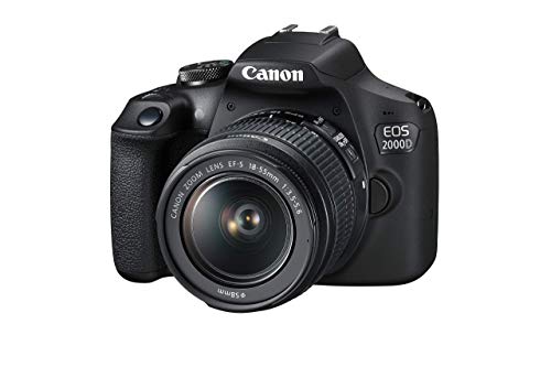 Best canon camera in 2023 [Based on 50 expert reviews]