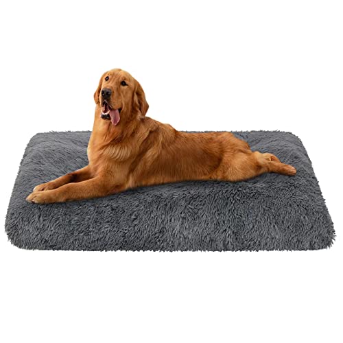 Best dog beds in 2023 [Based on 50 expert reviews]