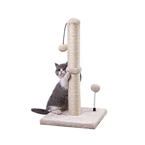 Best cat scratching post in 2023 [Based on 50 expert reviews]