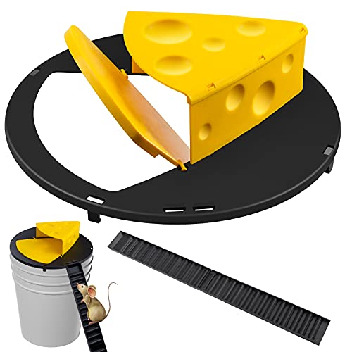 Best mouse trap in 2023 [Based on 50 expert reviews]