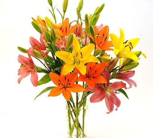 Stargazer Barn Autumnal Sunrise Bouquet Large Royal Lilies Freshly Cut from our farm, Fresh Flowers, 30 Count