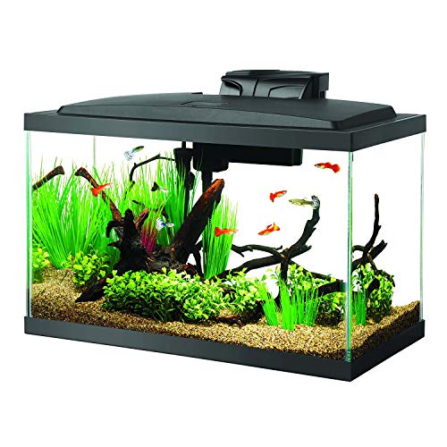 Best fish tank in 2023 [Based on 50 expert reviews]