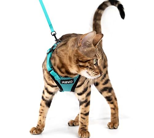 Mewo Cat Harness and Leash - Soft, Comfortable, Reflective, Sleek, & Adjustable, for a Safe & Snug Fit (Medium - Adult)