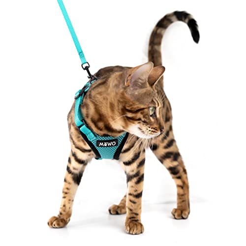 Best cat harness in 2023 [Based on 50 expert reviews]